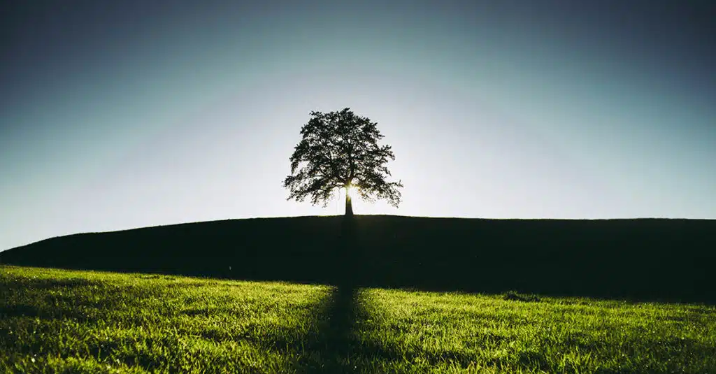 Verzichte und rette die welt minimalismus